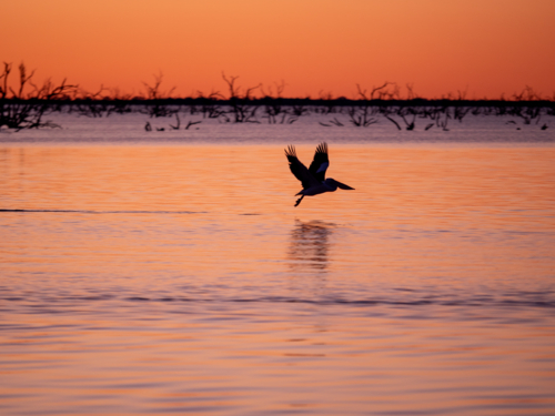 Sunset at Lake Pamamaroo, part of the Menindee Lakes system - Australian Stock Image