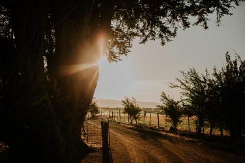 Sunset behind farm gate - Australian Stock Image