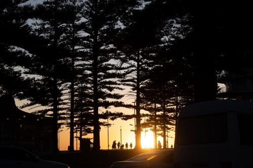 Sunset casting a warm glow and creating silhouettes of people and trees in coastal area - Australian Stock Image