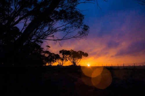 Sunset colours before a storm showing tree silhouettes. - Australian Stock Image