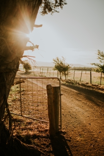Sunset farm gate - Australian Stock Image