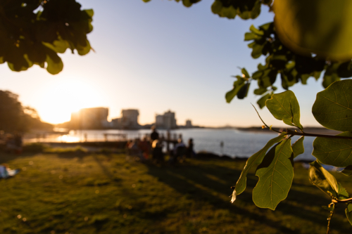Sunset glow over coastal scene and mid-rise buildings in the distance - Australian Stock Image
