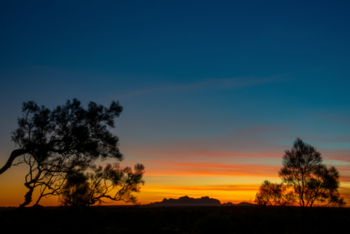 Sunset in Central Australia with silhouetted trees - Australian Stock Image