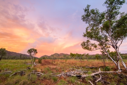 Sunset in outback Kimberley