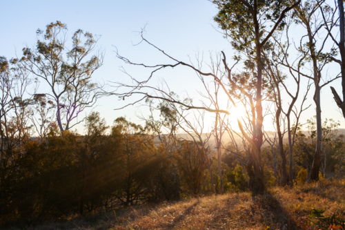 Sunset light backlighting Australian bushland at Drummond Apex Lookout in Armidale - Australian Stock Image