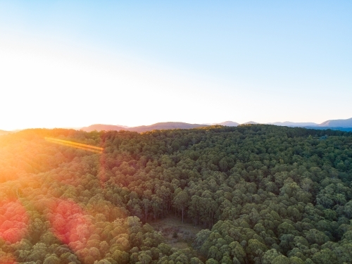 Sunset light over mountains covered in trees - Australian Stock Image