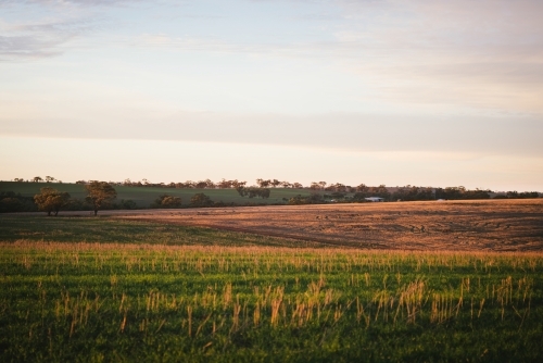 Sunset on a farming landscape in the Avon Valley in Western Australia - Australian Stock Image