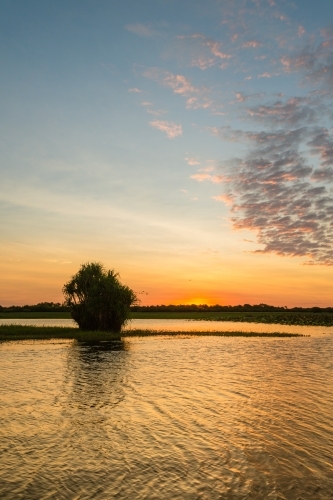 sunset on a wetland in Australia - Australian Stock Image