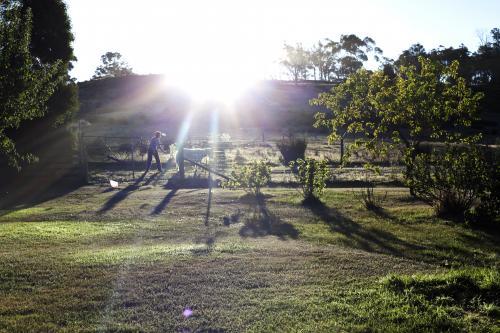Sunset on the farm - Australian Stock Image