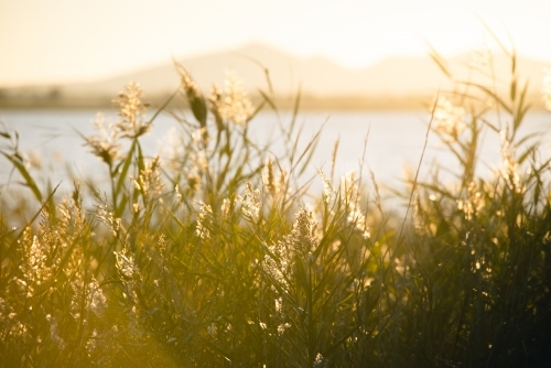 Sunset over the You Yangs - Australian Stock Image