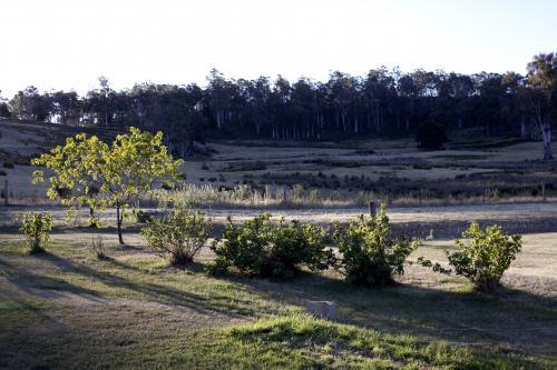 Sunset shadows in rural setting - Australian Stock Image