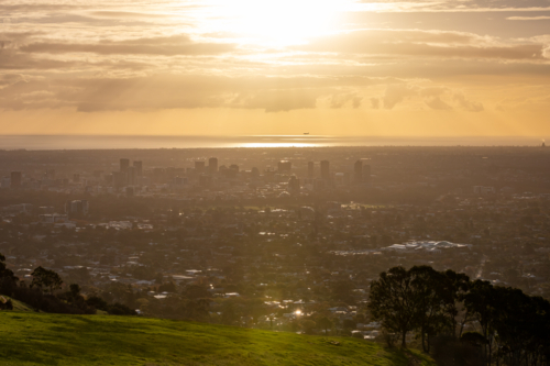 Sunset Silhouettes on Hill Overlooking Adelaide from Mount Osmond, South Australia - Australian Stock Image