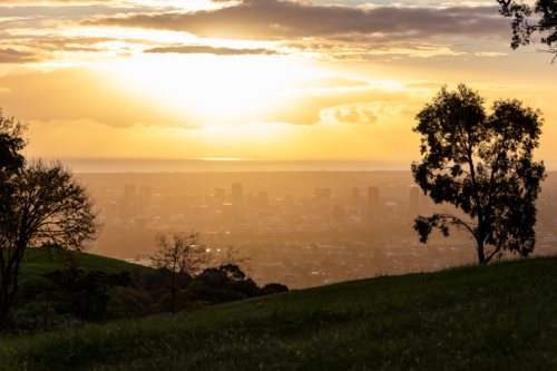 Sunset Silhouettes on Hill Overlooking Adelaide from Mount Osmond, South Australia - Australian Stock Image