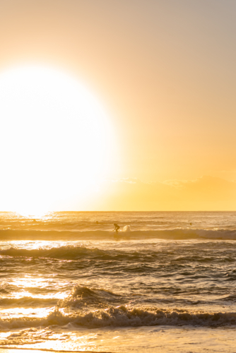 sunset surfers sesh during golden hour at the beach - Australian Stock Image