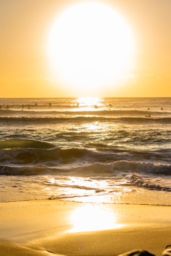 sunset surfers sesh during golden hour at the beach - Australian Stock Image