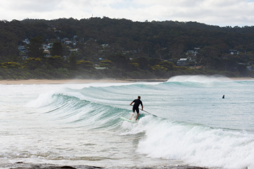 SUP Stand Up Paddle Boarder riding a breaking wave - Australian Stock Image