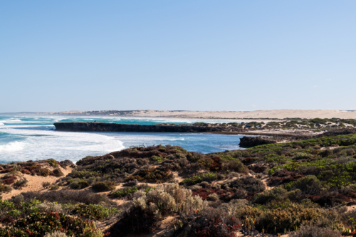 Surf at Cactus Beach, South Australia - Australian Stock Image