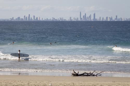 Surfer at Rainbow Bay - Australian Stock Image