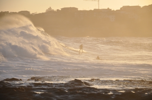 Surfer at sunset - Australian Stock Image