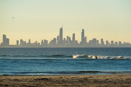 Surfer at sunset with Surfers Paradise in background - Australian Stock Image