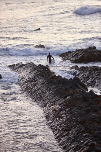 Surfer heading out off rocks in ocean on sunrise - Australian Stock Image