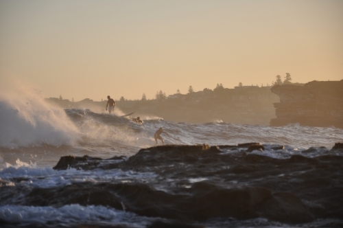 Surfer in golden light - Australian Stock Image