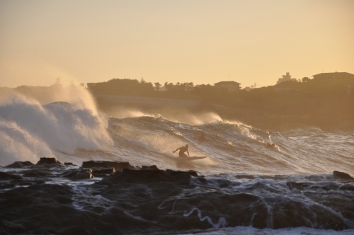 Surfer in golden light - Australian Stock Image