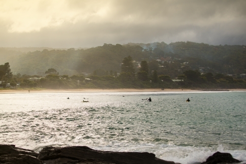 Surfers at Lorne beach - Australian Stock Image