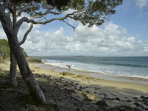 Surfers at water's edge - Australian Stock Image