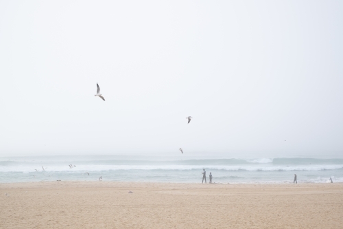 surfers enjoy the waves and the dense fog - Australian Stock Image