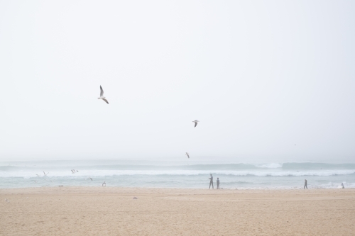 surfers enjoy the waves and the dense fog