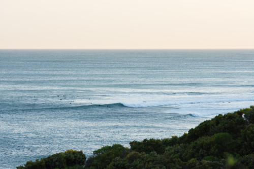 Surfers in the distance at sunset - Australian Stock Image