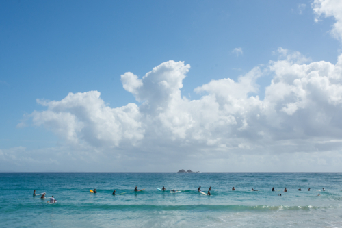 Surfers in the ocean, in a line waiting for a wave - Australian Stock Image