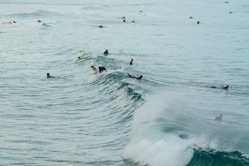 Surfers in the water waiting for a big wave