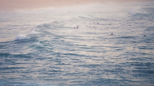 Surfers in the water waiting for a wave