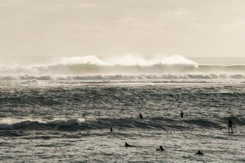 Surfers paddling out in a big swell - Australian Stock Image
