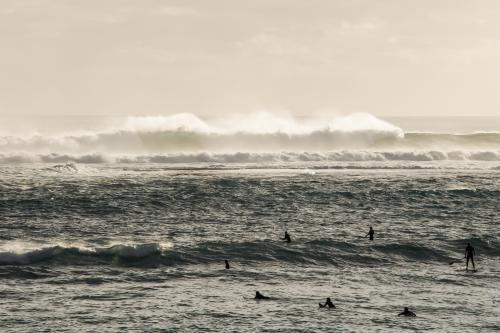 Surfers paddling out in a big swell