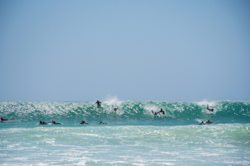 Surfers trying to catch a large wave on summer day - Australian Stock Image