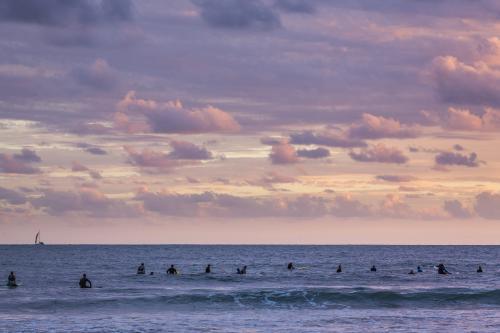Surfers waiting for the next wave at sunrise - Australian Stock Image