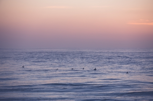 Surfers waiting for their wave at sunrise - Australian Stock Image