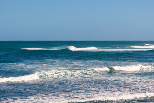 Surfing at Cactus Beach, South Australia - Australian Stock Image