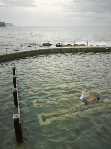 Swimmer at Bronte Ocean Pool - Australian Stock Image