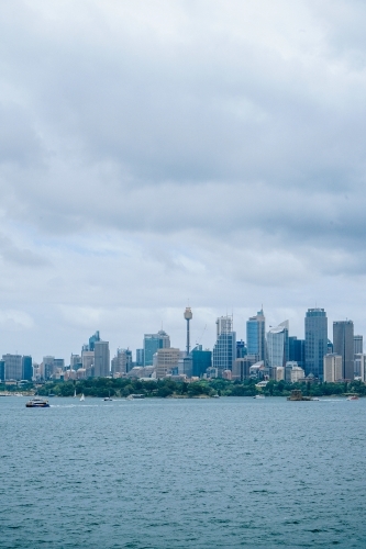 Sydney CBD buildings by the harbour - city skyline - Australian Stock Image