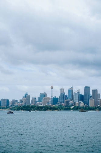 Sydney CBD buildings by the harbour - city skyline