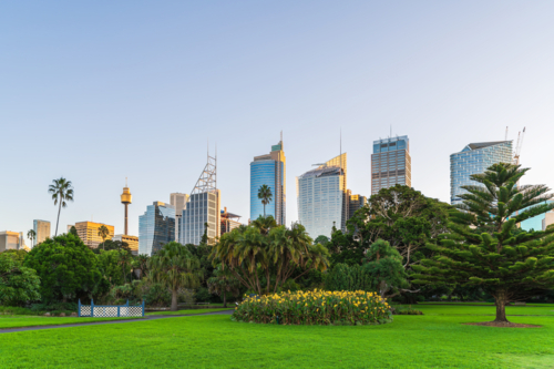 Sydney City skyline at sunset while viewed across Royal Botanic Garden - Australian Stock Image