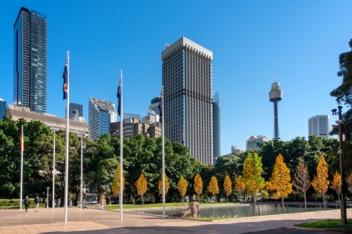 Sydney city skyline with tower as seen from Hyde Park in Autumn