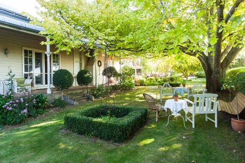 Table and chairs under a big tree in the backyard - Australian Stock Image