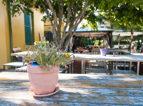 Tables at an Outdoor Cafe with Plants