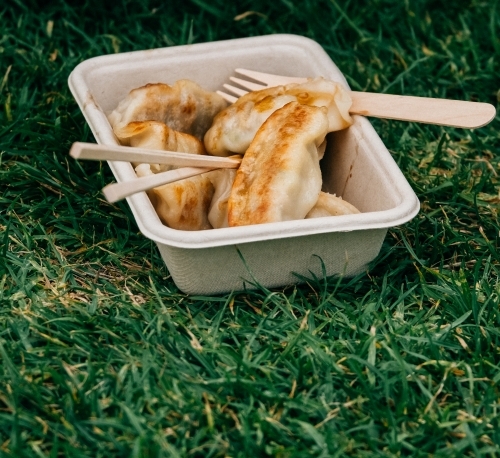 takeaway dumplings