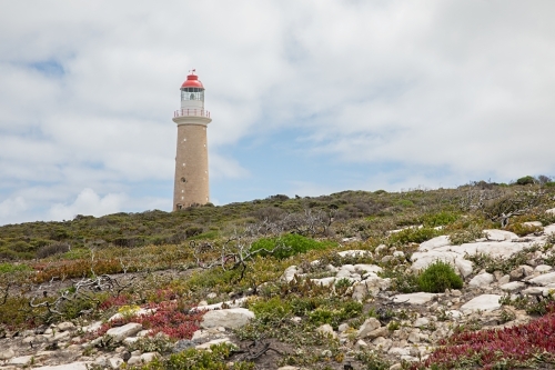 Tall lighthouse surrounded by grass and low-lying shrubs - Australian Stock Image